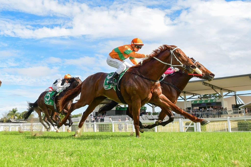 Ipswich Preview And Selections 7 January 2023