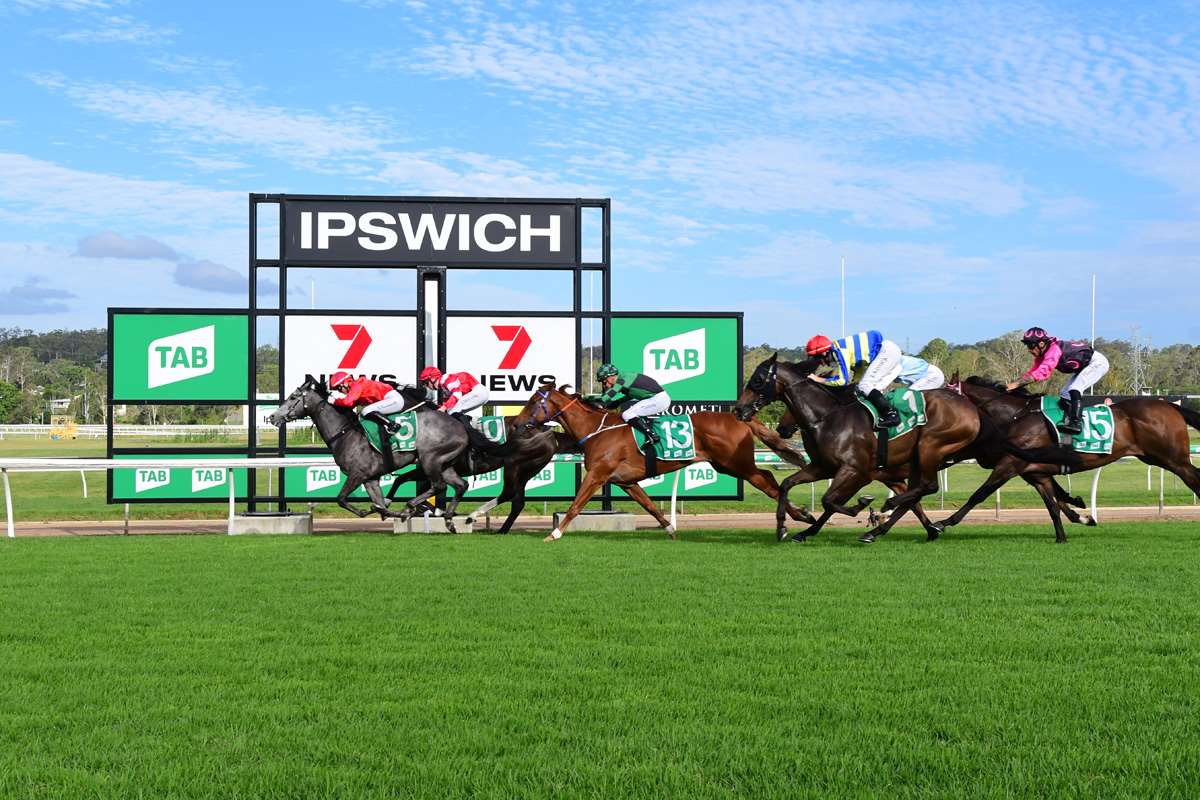 Ipswich Preview and Selections – Saturday 13 January 2024