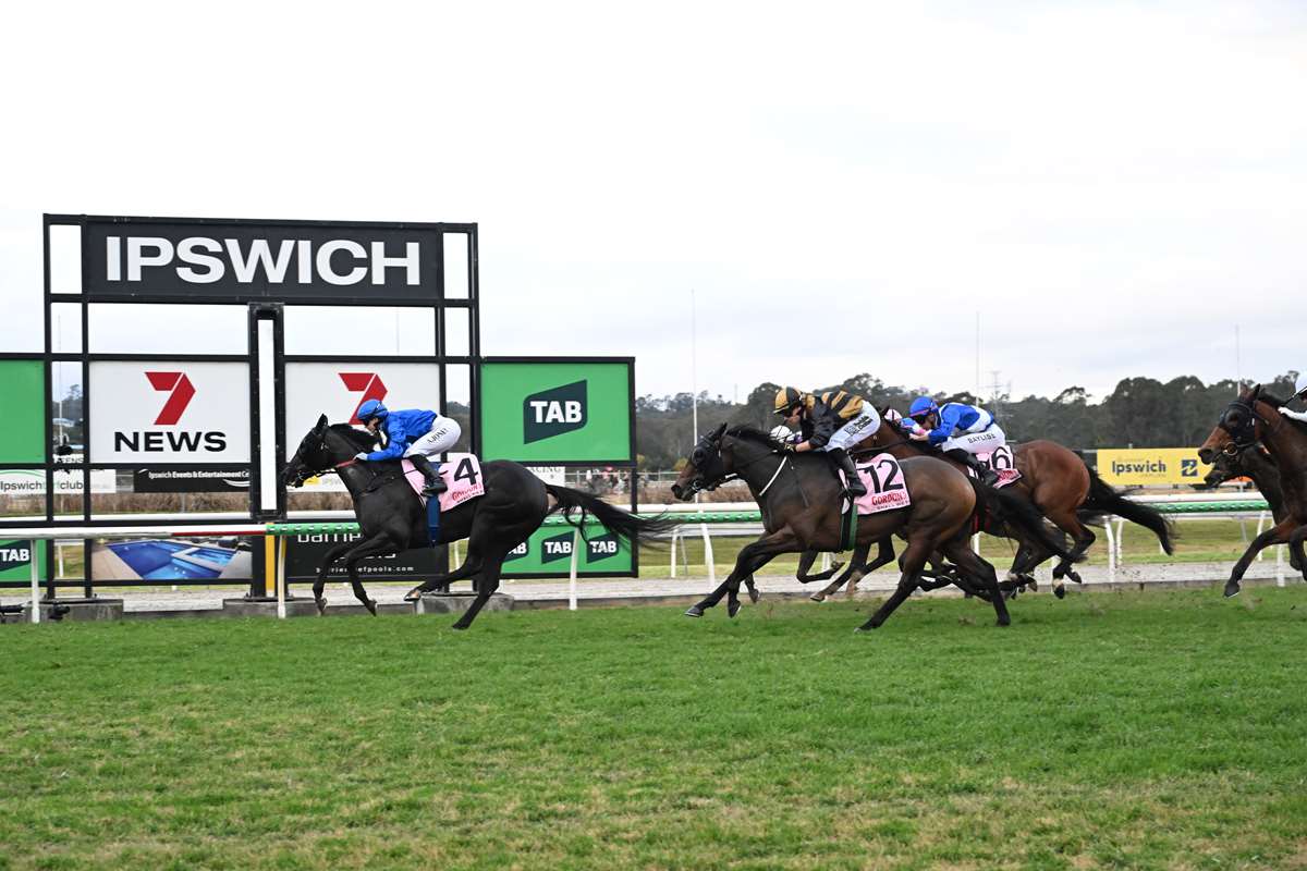 TAB Ipswich Cup celebrations