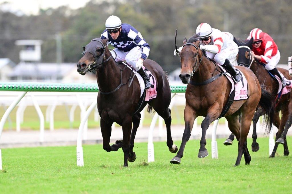 Trebles for Hoysted and Guthman-Chester