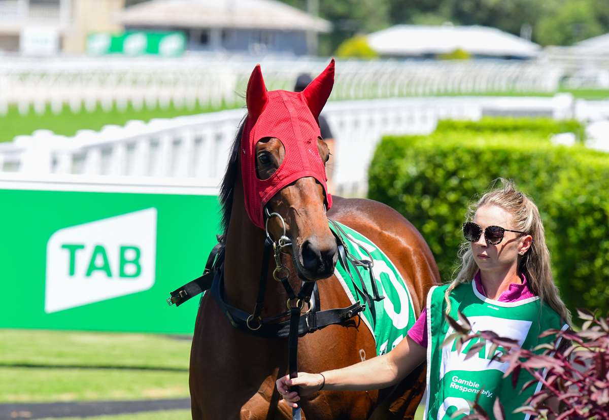 Race by race plays 31 October