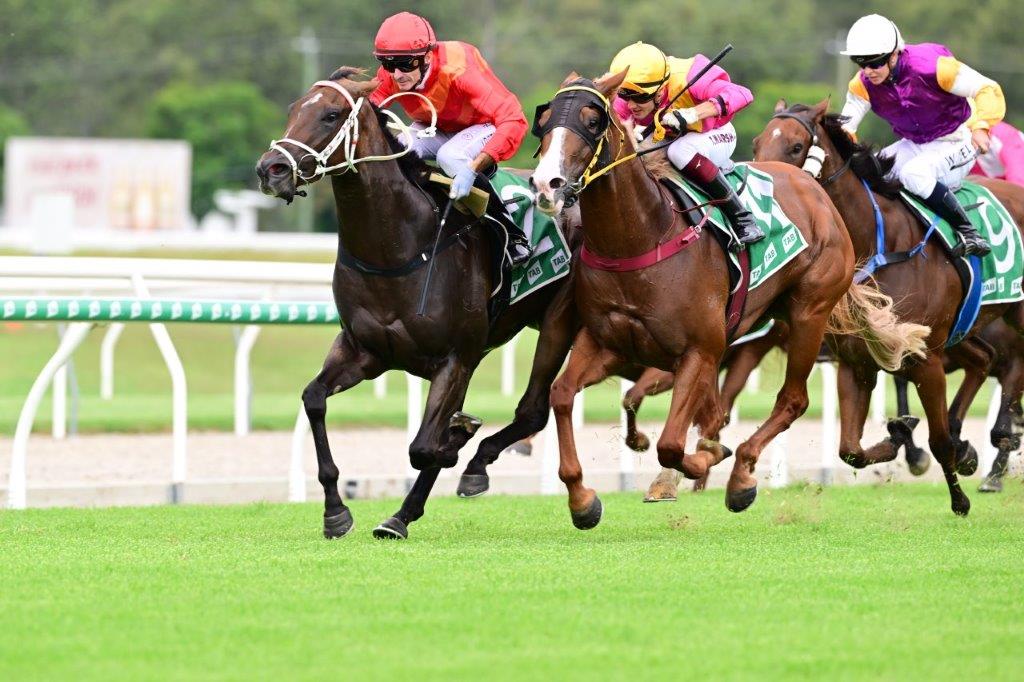 Ipswich Preview – Wednesday 10 April 2024