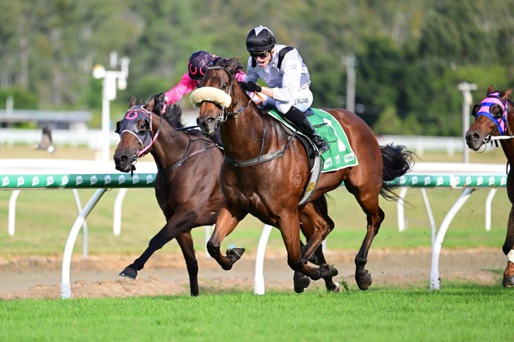 Weekend Wrap Up 28 April – 1 May 