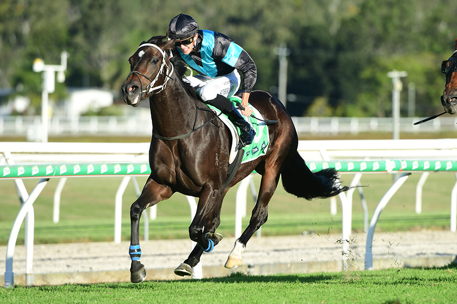 Local trainer gets a win with Crymenotears