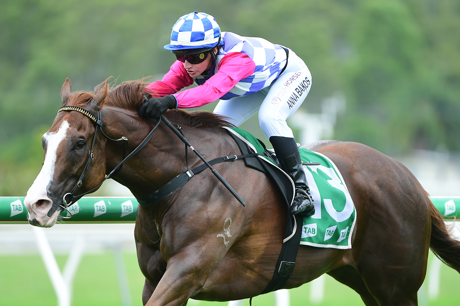 Support for local jockey