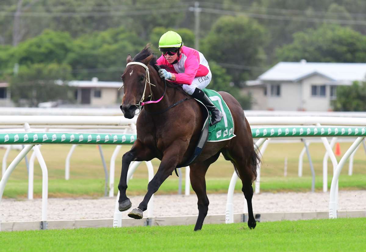 Meeting In Review – Saturday 16 March 2024