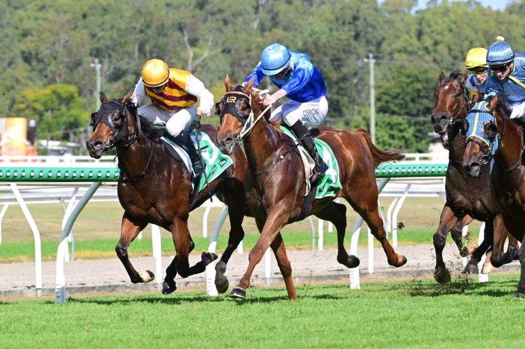Dungog’s son is riding tall