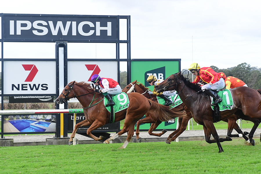 Flag Hall lands major prize