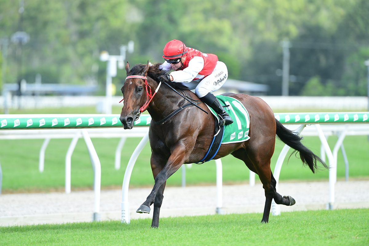 Flying start for local trainers 