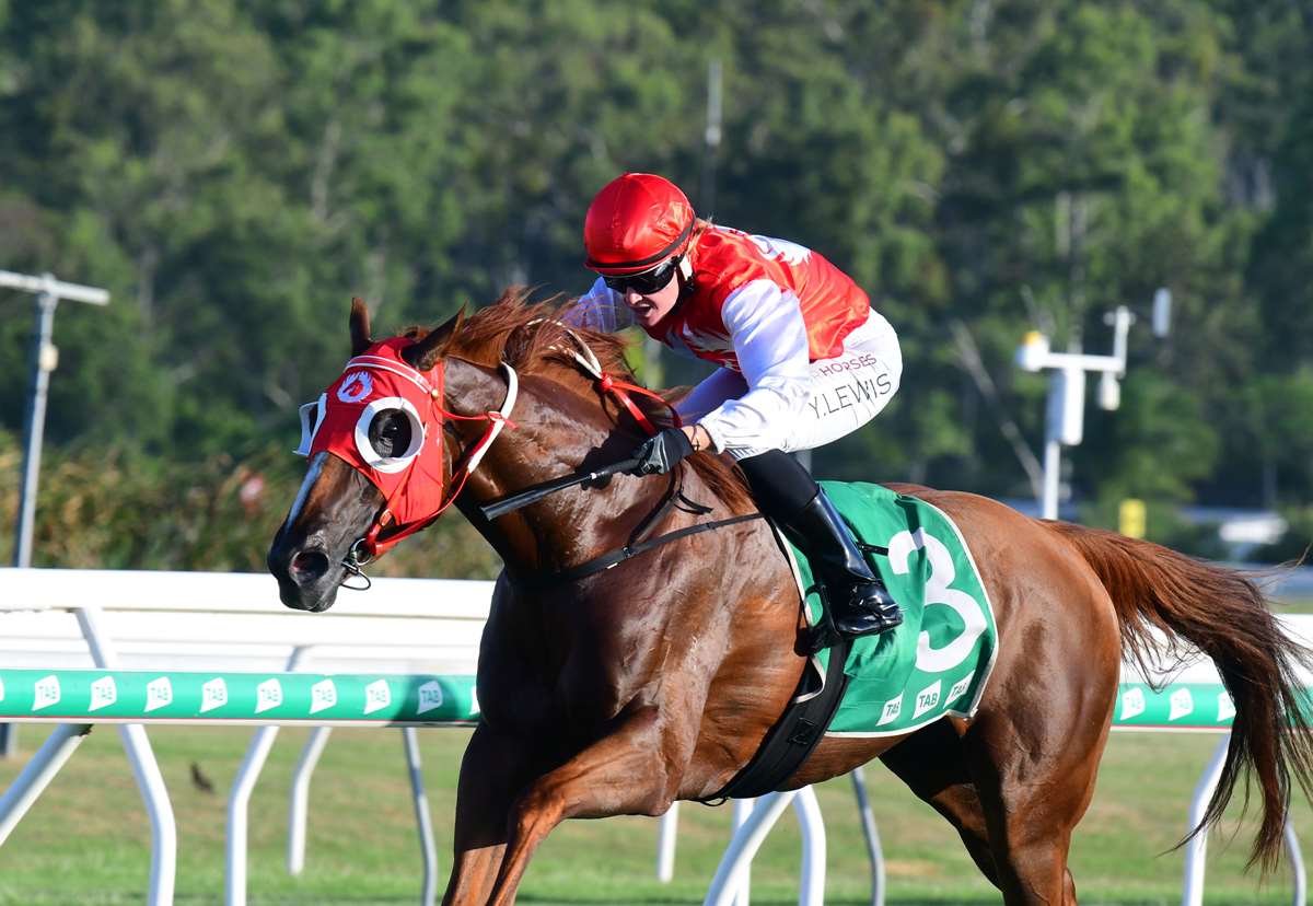 Meeting In Review – Saturday 27 January 2024