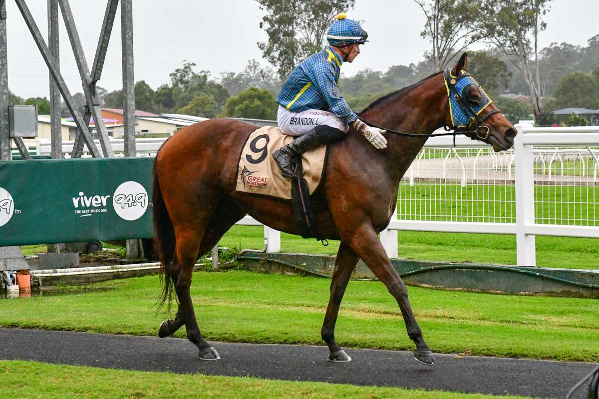 Racing review 31 May