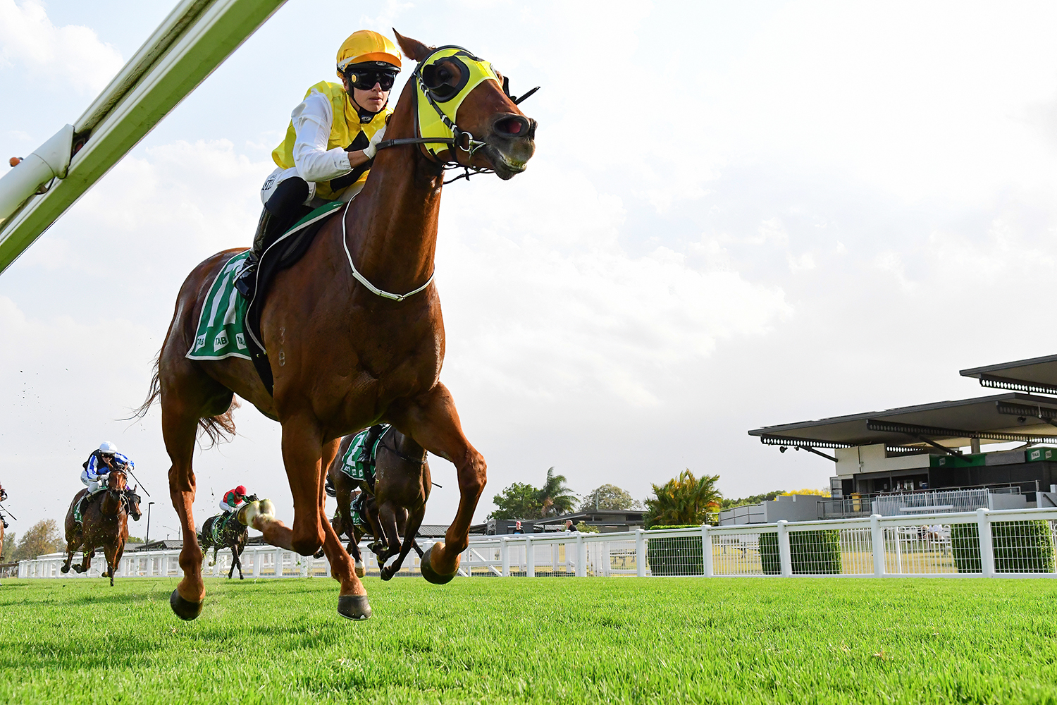 Ipswich Preview – Friday 3 November 2023