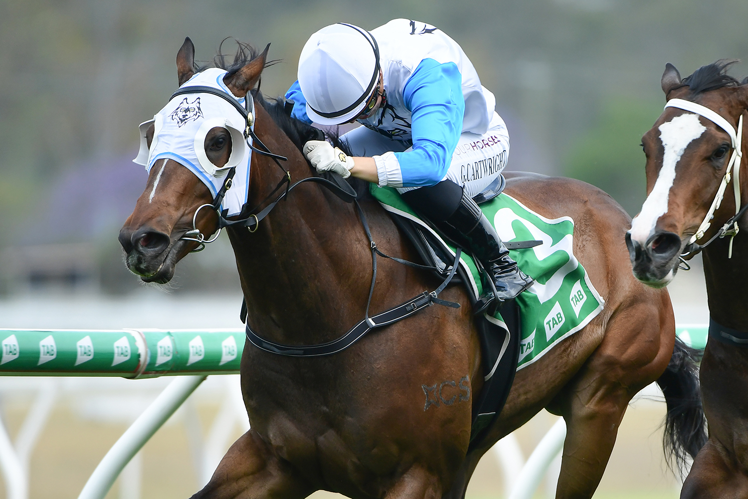 Ipswich Win Just What The Doctor Prescribed For Rugby League Great’s Mum