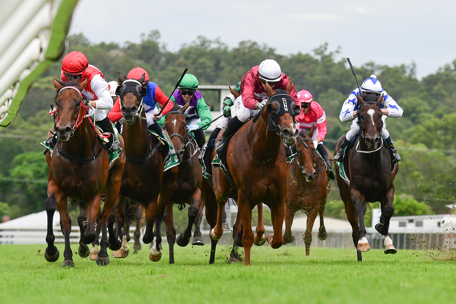 Ipswich Selections – Sunday 21 January 2024