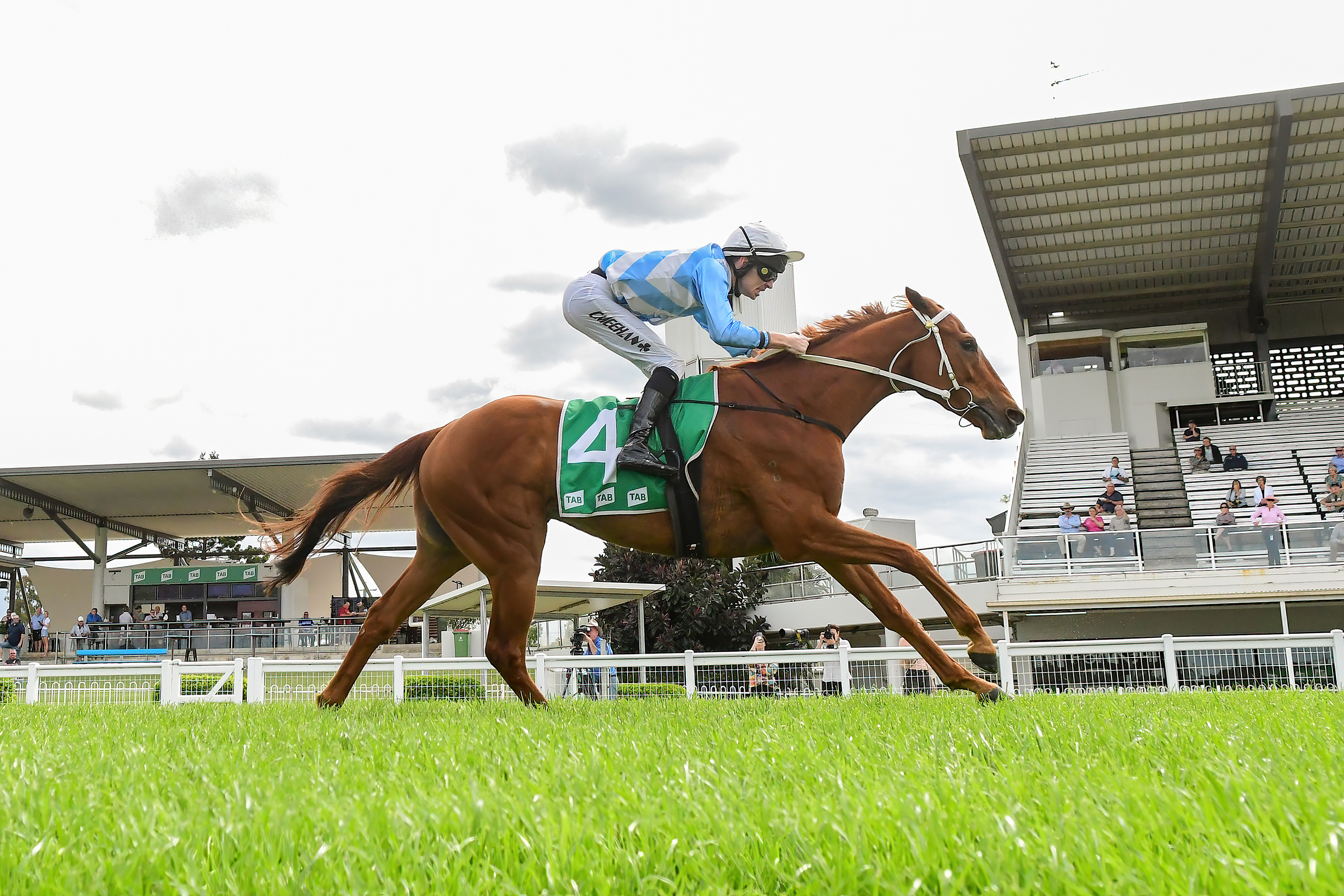 Ipswich Preview And Selections 12 October 2022
