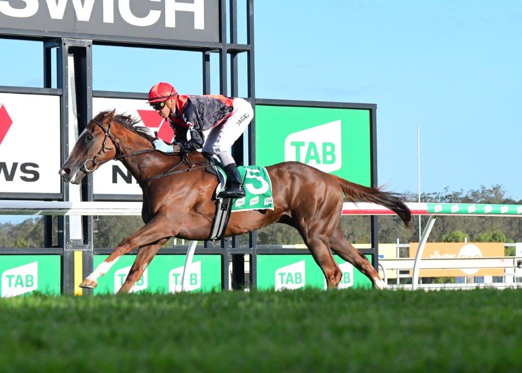 Ipswich Preview And Selections 18 November 2022