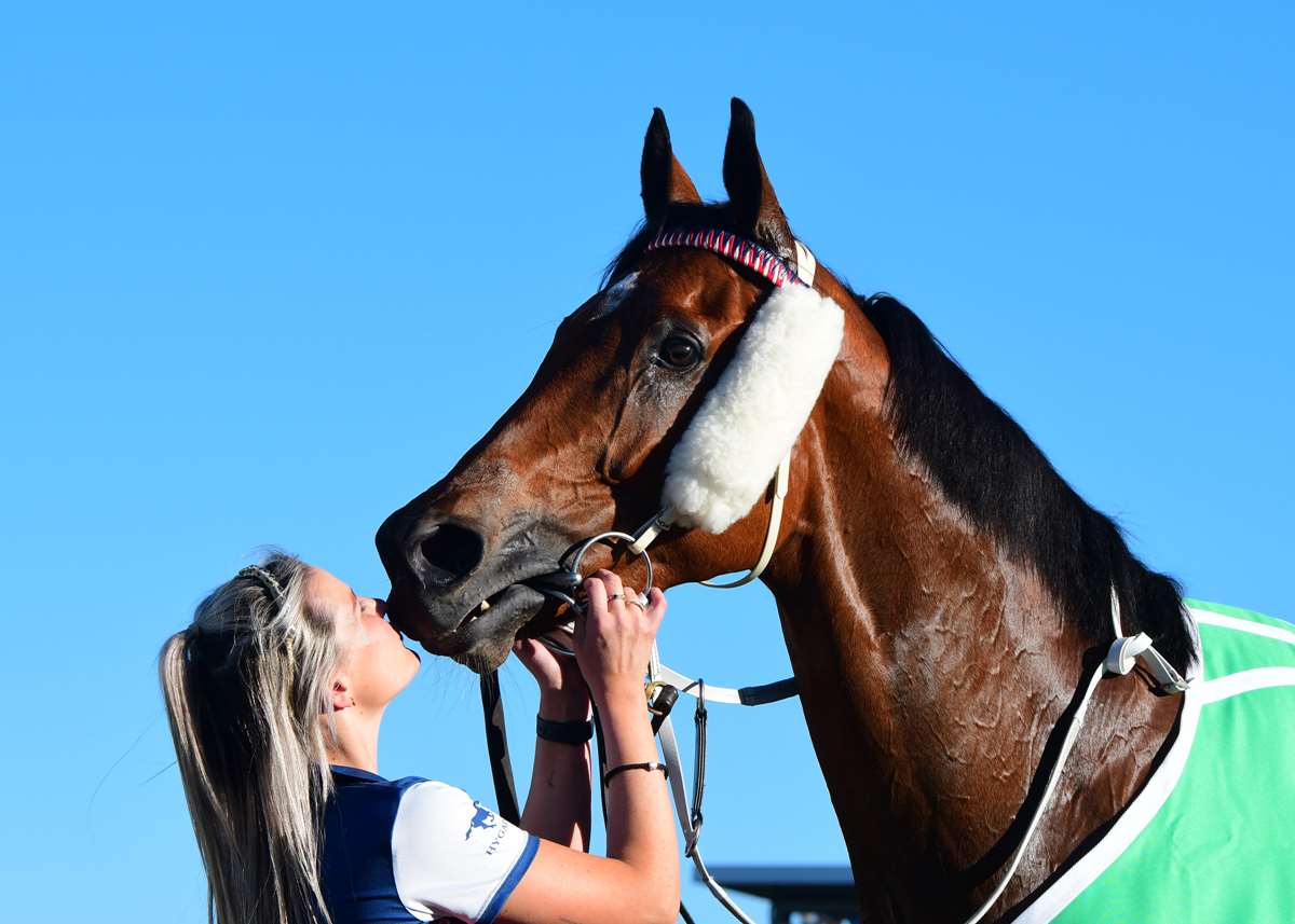 Meet a retired racehorse