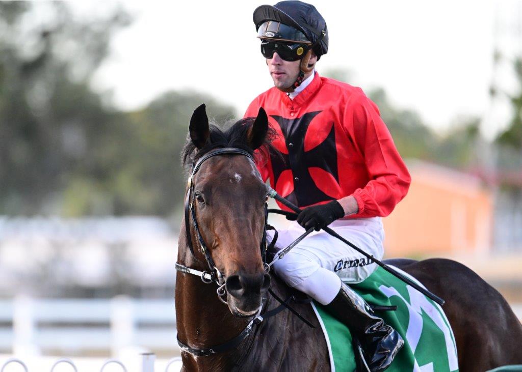 Ipswich Preview and Selections – 28 July 2023