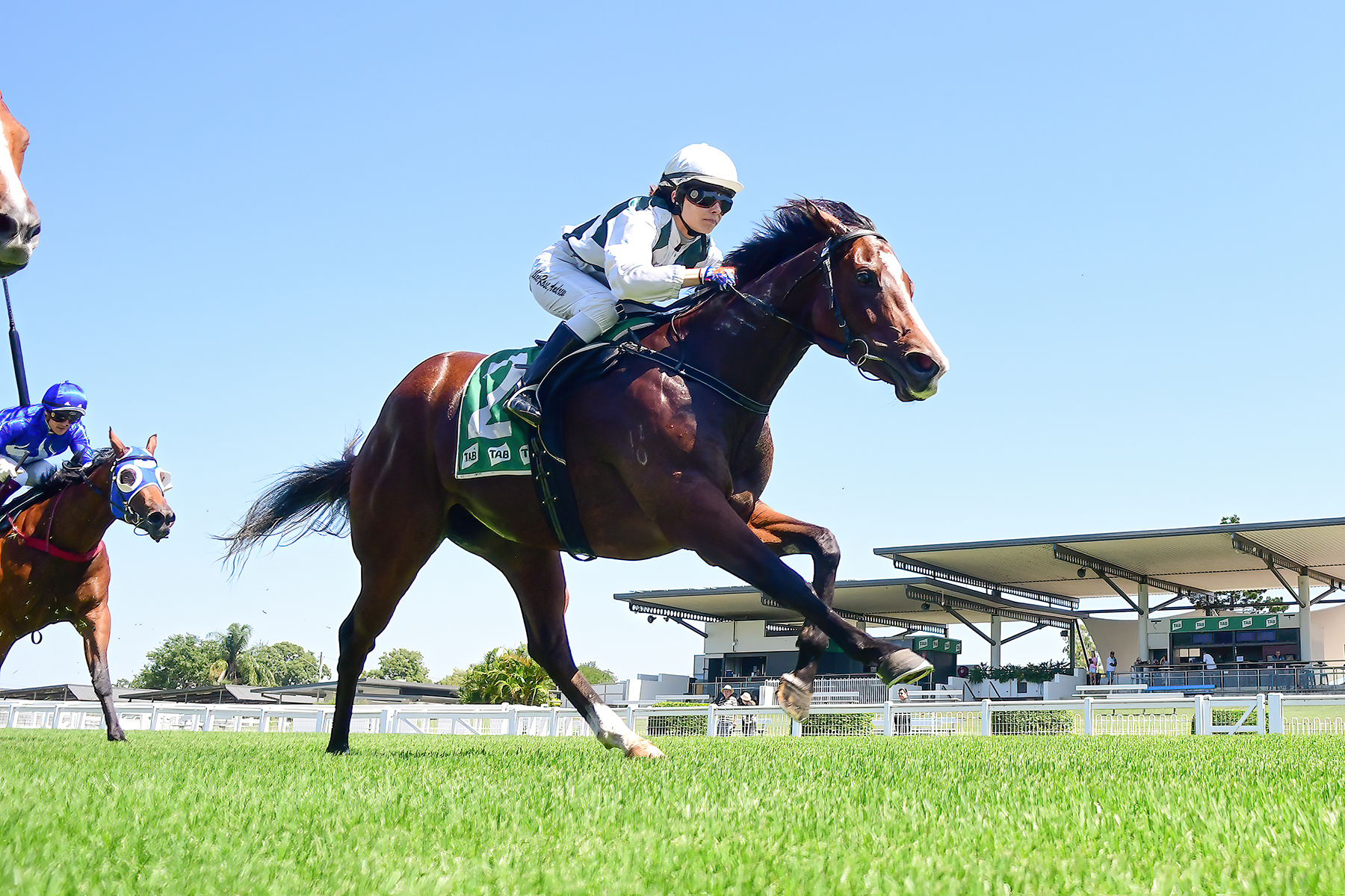 Meeting In Review 17 March 2023