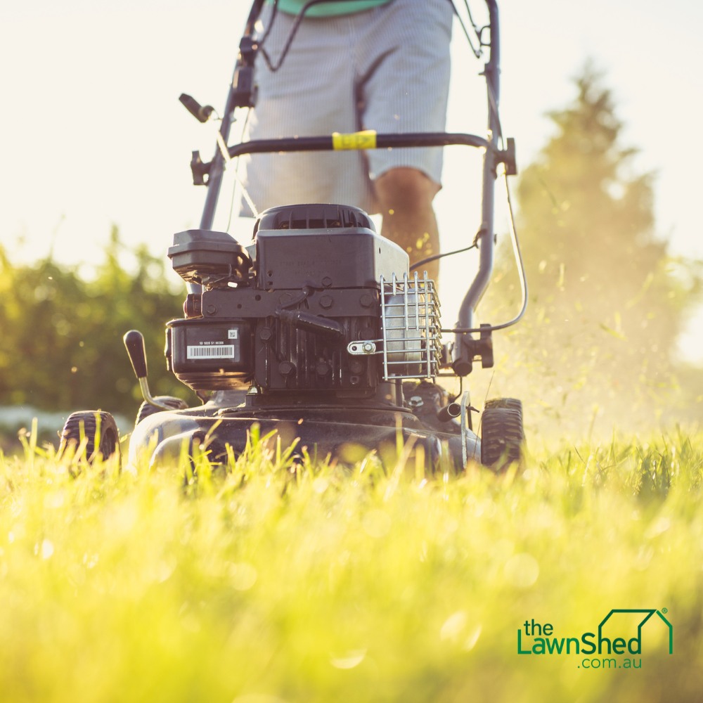 The Lawn Shed joins Ipswich Quarter