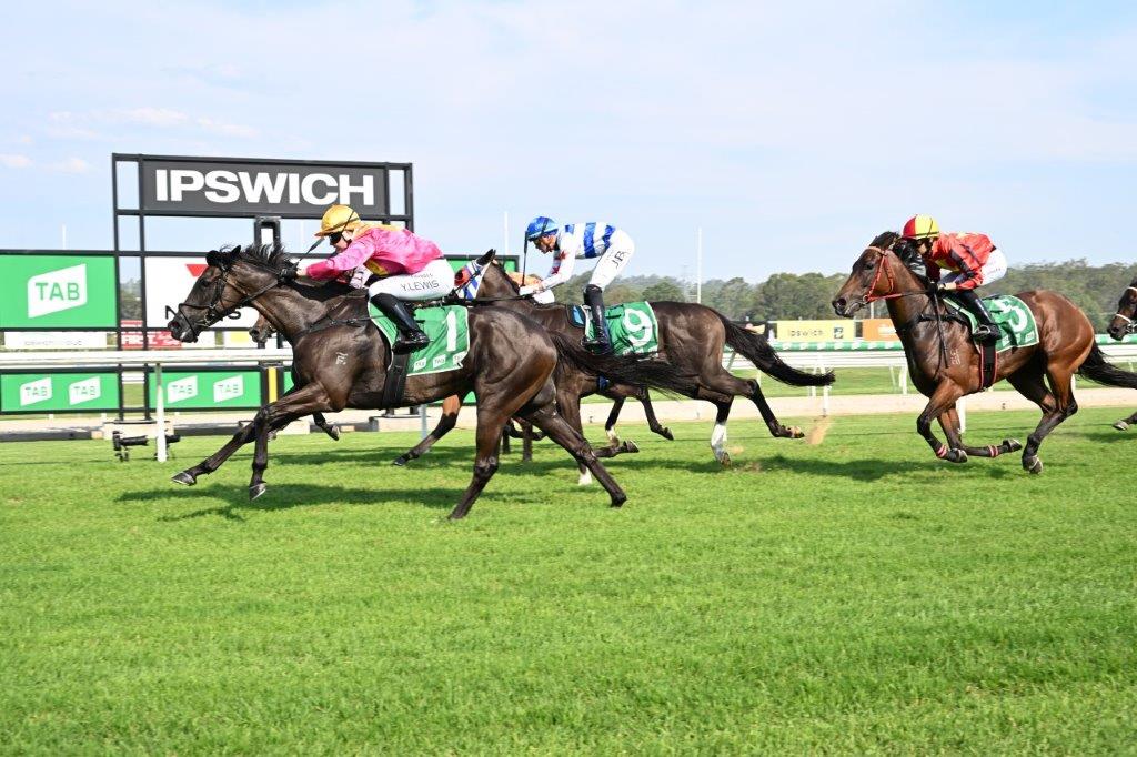 Ipswich Preview and Selections 6 January 2024