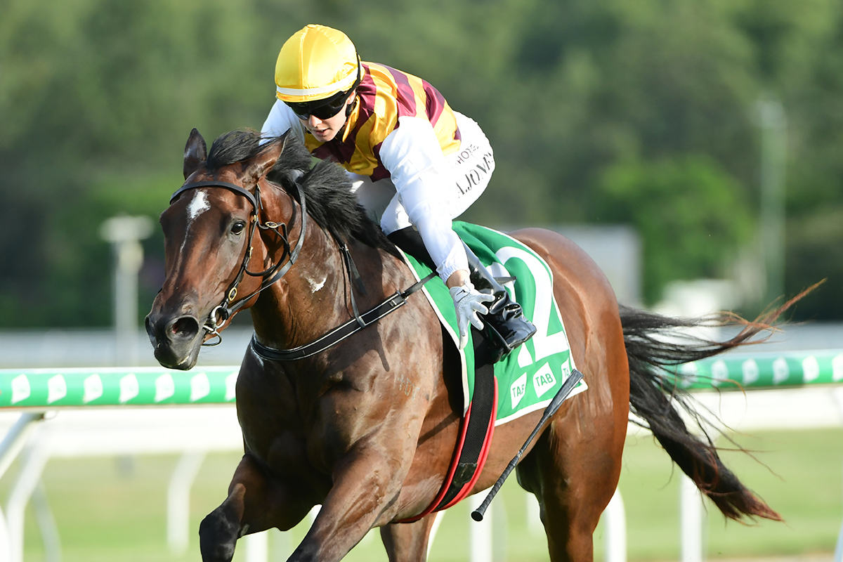 Meeting In Review – Wednesday 21 February 2024