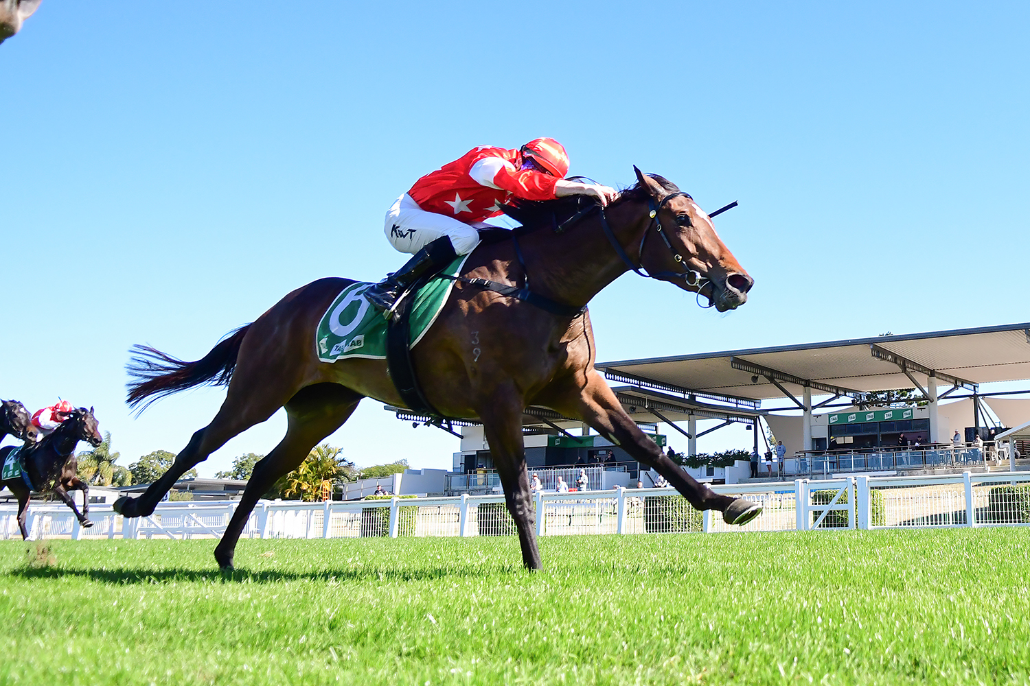 Ipswich Selections 13 July 2023