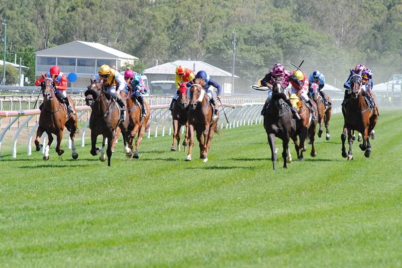 Ipswich races - 8 December