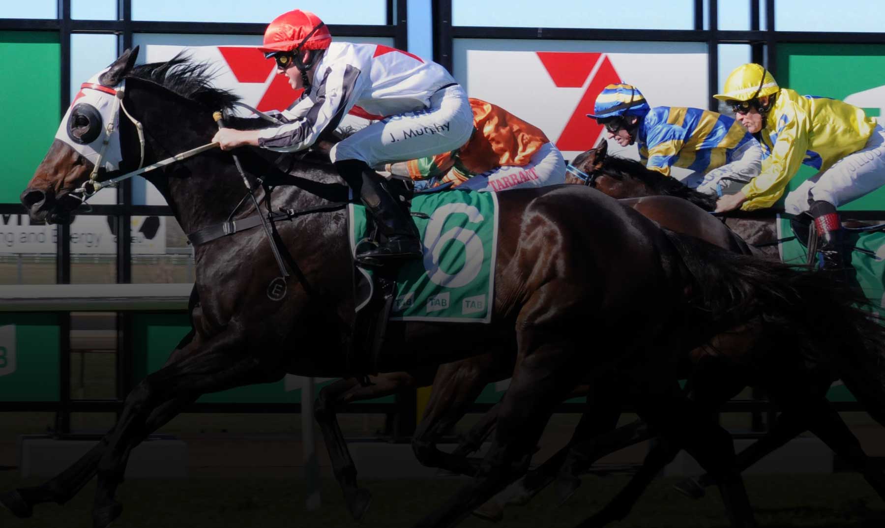 Ipswich Turf Club