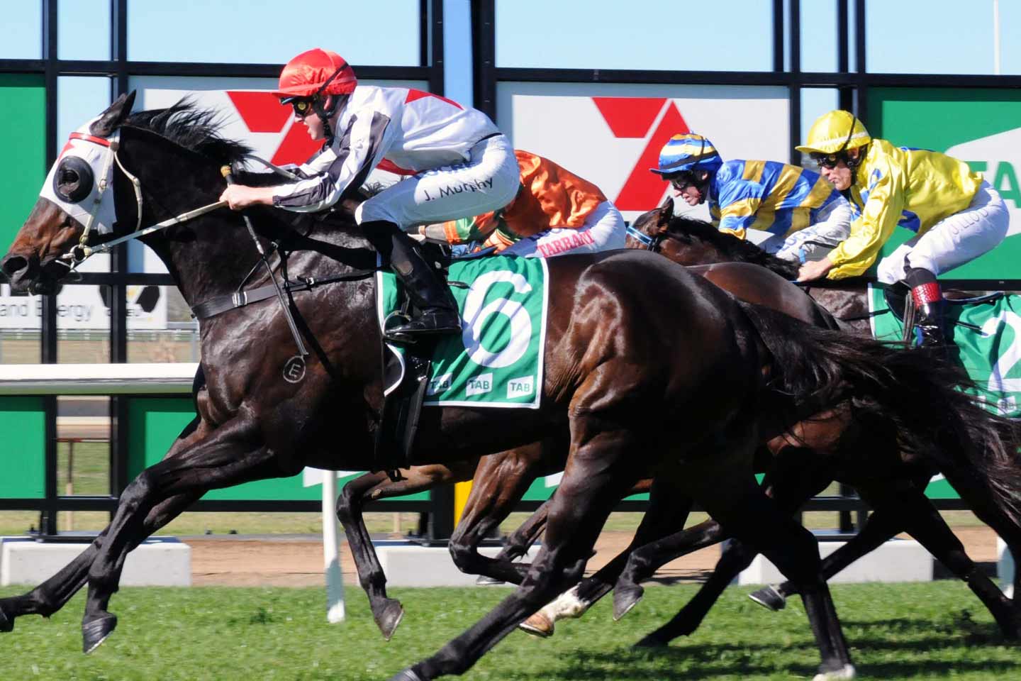 Racing at Ipswich Turf Club