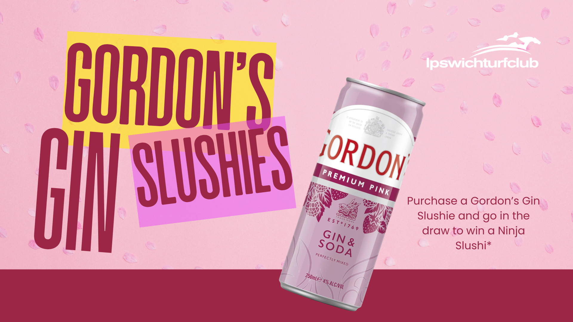 Win a Ninja Slushi Machine with Gordon’s Gin Slushies